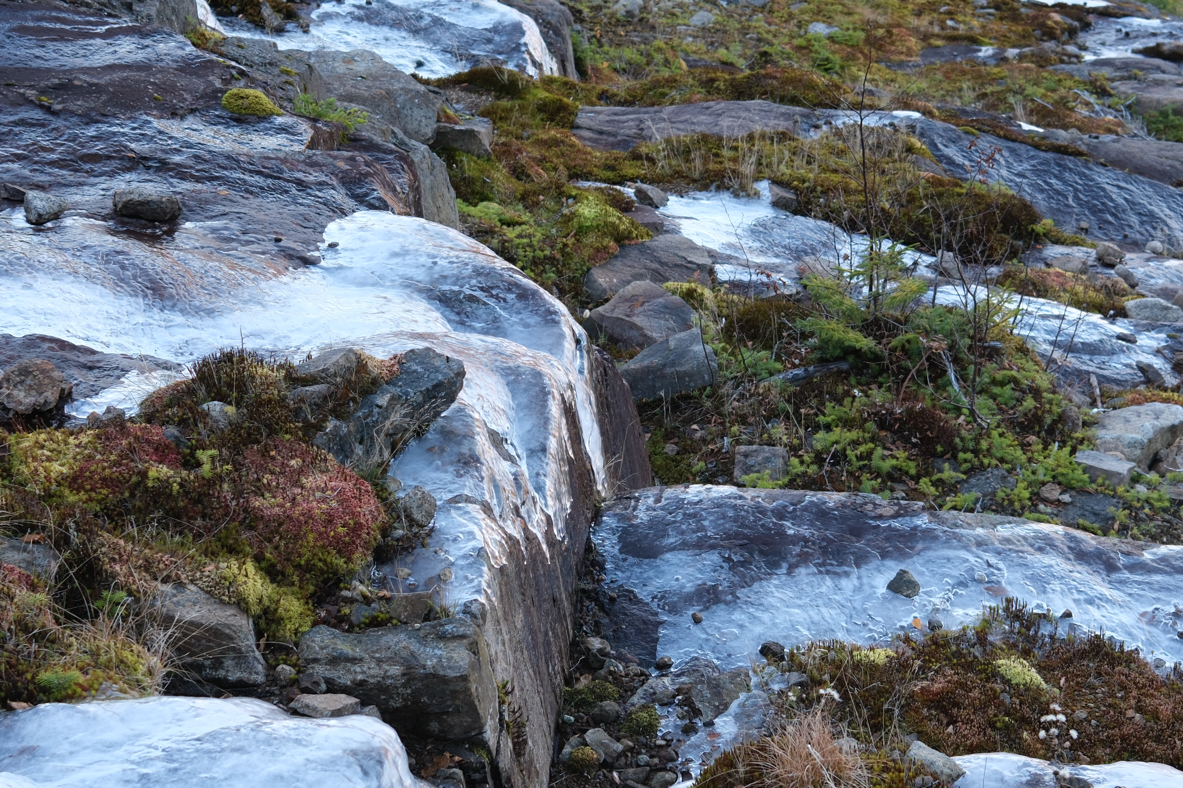 Ice photo